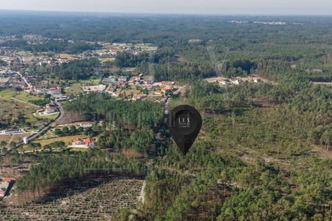 Grond in Cantanhede, Coimbra, Cantanhede - € 35.000 | Ref: LUX_CB-00746 - foto 21