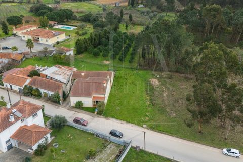 Helårsgrund i Mealhada, Aveiro, Mealhada - € 65.000 | Ref: LUX_CB-00699 - foto 3