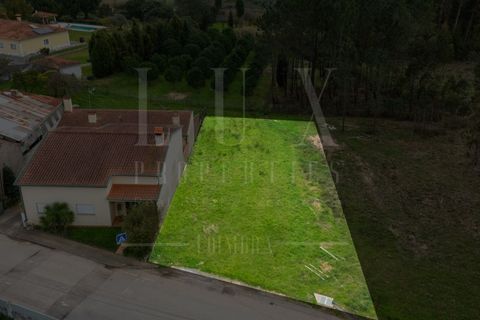 Helårsgrund i Mealhada, Aveiro, Mealhada - € 65.000 | Ref: LUX_CB-00699 - foto 4