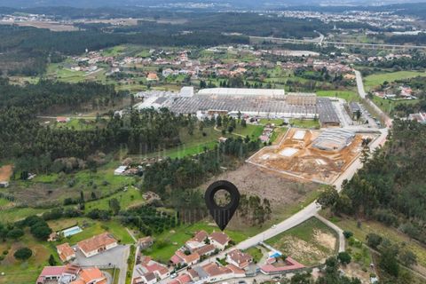 Helårsgrund i Mealhada, Aveiro, Mealhada - € 65.000 | Ref: LUX_CB-00699 - foto 9