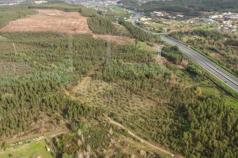 Terreno en Assafarge e Antanhol, Coimbra, Assafarge e Antanhol - € 60.000 | Ref: LUX_CB-01201 - photo 3