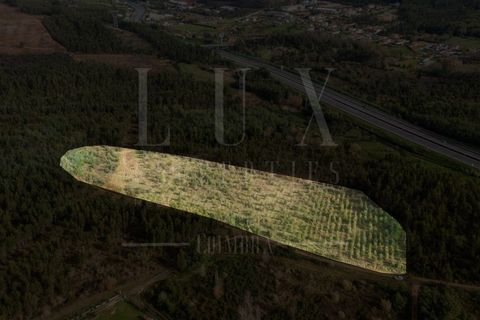Terreno en Assafarge e Antanhol, Coimbra, Assafarge e Antanhol - € 60.000 | Ref: LUX_CB-01201 - photo 4
