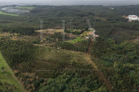 Terreno en Assafarge e Antanhol, Coimbra, Assafarge e Antanhol - € 60.000 | Ref: LUX_CB-01201 - photo 15