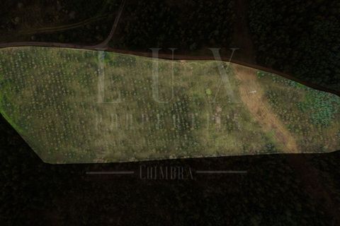 Terreno en Assafarge e Antanhol, Coimbra, Assafarge e Antanhol - € 60.000 | Ref: LUX_CB-01201 - photo 16
