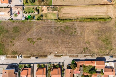 Terra a Estarreja, Aveiro, Estarreja - € 55.000 | Ref: LUX_CB-01114 - foto 3