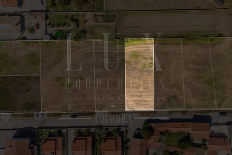 Terra a Estarreja, Aveiro, Estarreja - € 55.000 | Ref: LUX_CB-01114 - foto 4
