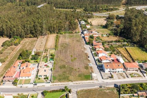 Terra a Estarreja, Aveiro, Estarreja - € 55.000 | Ref: LUX_CB-01114 - foto 5