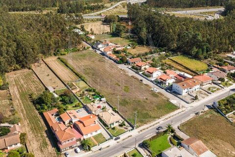 Terra a Estarreja, Aveiro, Estarreja - € 55.000 | Ref: LUX_CB-01114 - foto 7