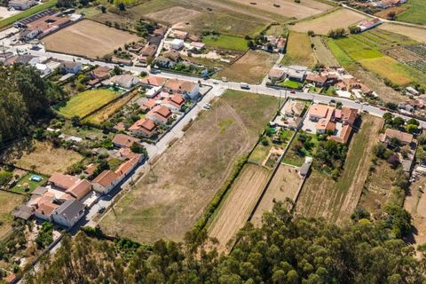 Terra a Estarreja, Aveiro, Estarreja - € 55.000 | Ref: LUX_CB-01114 - foto 8