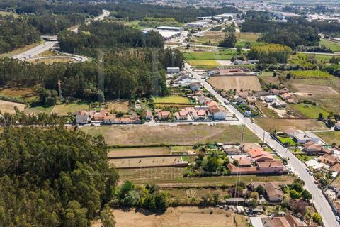 Terra a Estarreja, Aveiro, Estarreja - € 55.000 | Ref: LUX_CB-01114 - foto 10