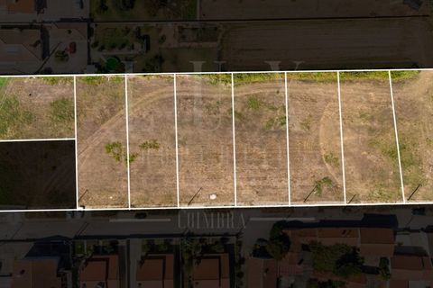 Terra a Estarreja, Aveiro, Estarreja - € 55.000 | Ref: LUX_CB-01114 - foto 13