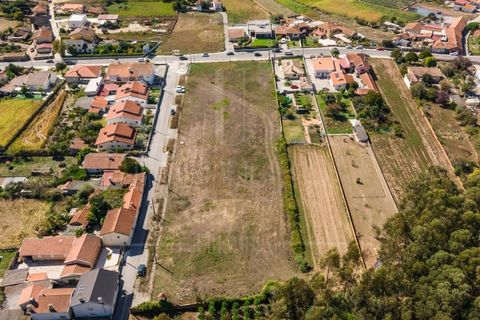 Terra a Estarreja, Aveiro, Estarreja - € 55.000 | Ref: LUX_CB-01112 - foto 2