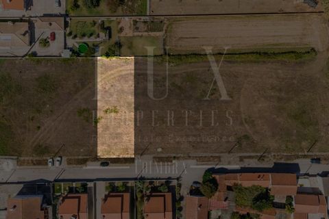 Terra a Estarreja, Aveiro, Estarreja - € 55.000 | Ref: LUX_CB-01112 - foto 4