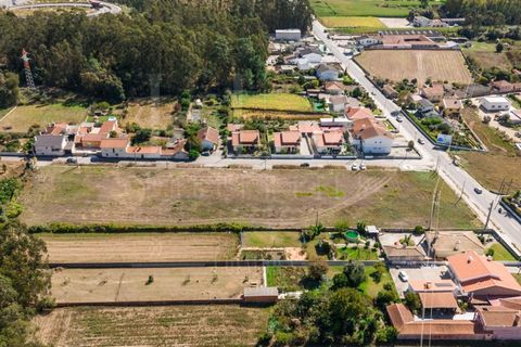 Terra a Estarreja, Aveiro, Estarreja - € 55.000 | Ref: LUX_CB-01112 - foto 7