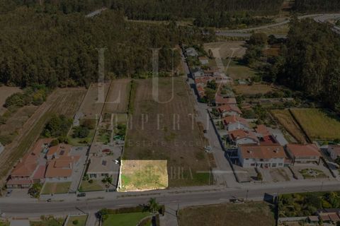 Terra a Estarreja, Aveiro, Estarreja - € 55.000 | Ref: LUX_CB-01110 - foto 6