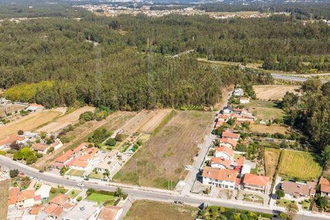 Terra a Estarreja, Aveiro, Estarreja - € 55.000 | Ref: LUX_CB-01110 - foto 7