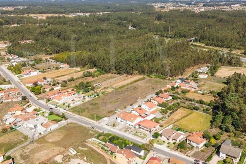Terra a Estarreja, Aveiro, Estarreja - € 55.000 | Ref: LUX_CB-01110 - foto 8