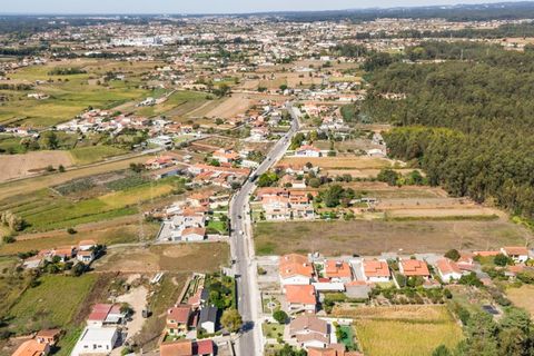 Terra a Estarreja, Aveiro, Estarreja - € 55.000 | Ref: LUX_CB-01110 - foto 9