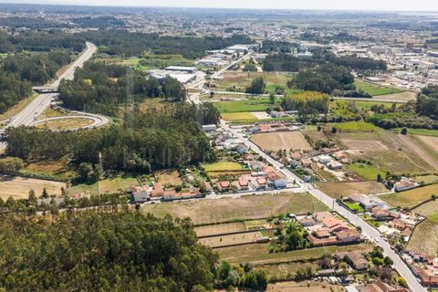 Terra a Estarreja, Aveiro, Estarreja - € 55.000 | Ref: LUX_CB-01110 - foto 10