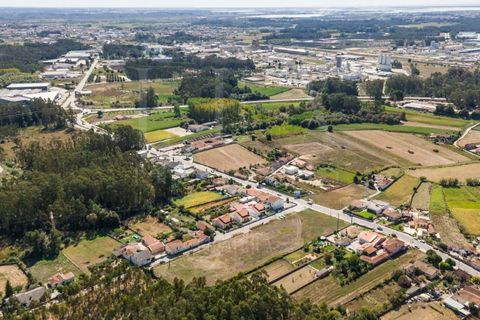 Terra a Estarreja, Aveiro, Estarreja - € 55.000 | Ref: LUX_CB-01110 - foto 11