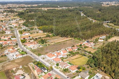 Terra a Estarreja, Aveiro, Estarreja - € 55.000 | Ref: LUX_CB-01110 - foto 12
