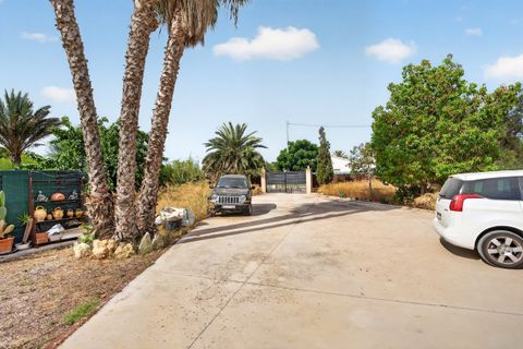 Villa i Elche, Alicante, Elche - € 240.000 | Ref: CBE02-373 - foto 3