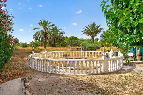 Villa i Elche, Alicante, Elche - € 240.000 | Ref: CBE02-373 - foto 29