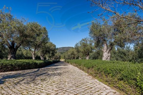 Villa a Moncarapacho, Faro, Moncarapacho - € 2.950.000 | Ref: ALG2395 - foto 22