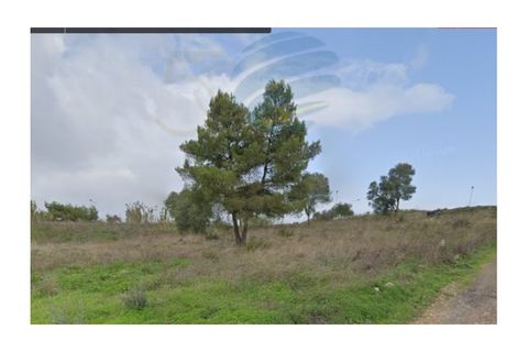 Tomt i Alcabideche, Lisbon, Alcabideche - € 1 650 000 | Ref: 11418 - foto 1