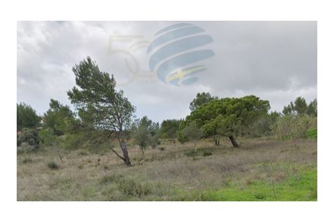 Tomt i Alcabideche, Lisbon, Alcabideche - € 1 650 000 | Ref: 11418 - foto 3