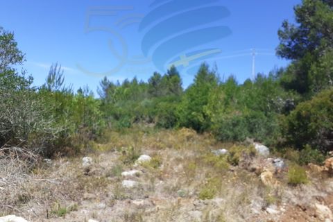 Tomt i Alcabideche, Lisbon, Alcabideche - € 1 650 000 | Ref: 11418 - foto 4