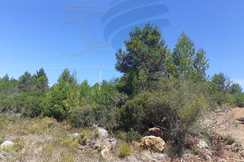 Tomt i Alcabideche, Lisbon, Alcabideche - € 1 650 000 | Ref: 11418 - foto 5