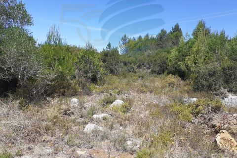 Tomt i Alcabideche, Lisbon, Alcabideche - € 1 650 000 | Ref: 11418 - foto 6