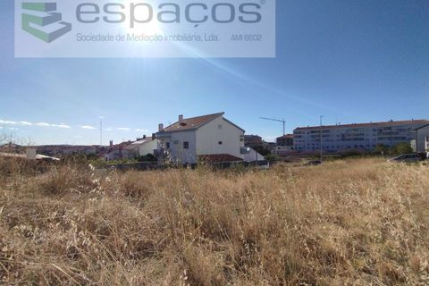 Tomt i Castelo Branco, Castelo Branco, Castelo Branco - € 73 000 | Ref: 4409/AC - foto 3