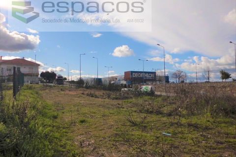 Tomt i Castelo Branco, Castelo Branco, Castelo Branco - € 50 000 | Ref: 4880/AC - foto 2