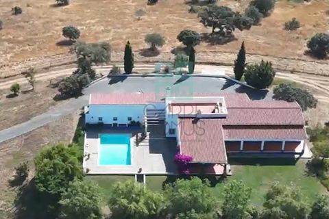 Landejendom i Santa Luzia, Beja, Santa Luzia - € 1.500.000 | Ref: Mt.Equestre - foto 4
