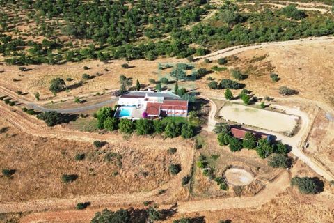 Landejendom i Santa Luzia, Beja, Santa Luzia - € 1.500.000 | Ref: Mt.Equestre - foto 6