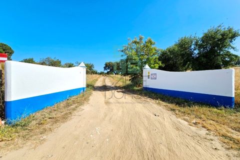 Landejendom i Santa Luzia, Beja, Santa Luzia - € 1.500.000 | Ref: Mt.Equestre - foto 11
