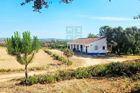 Landejendom i Santa Luzia, Beja, Santa Luzia - € 1.500.000 | Ref: Mt.Equestre - foto 12