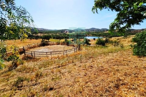 Landejendom i Santa Luzia, Beja, Santa Luzia - € 1.500.000 | Ref: Mt.Equestre - foto 13