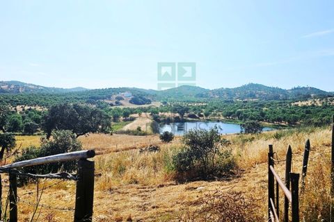 Landejendom i Santa Luzia, Beja, Santa Luzia - € 1.500.000 | Ref: Mt.Equestre - foto 14