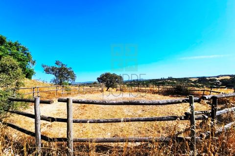 Landejendom i Santa Luzia, Beja, Santa Luzia - € 1.500.000 | Ref: Mt.Equestre - foto 15