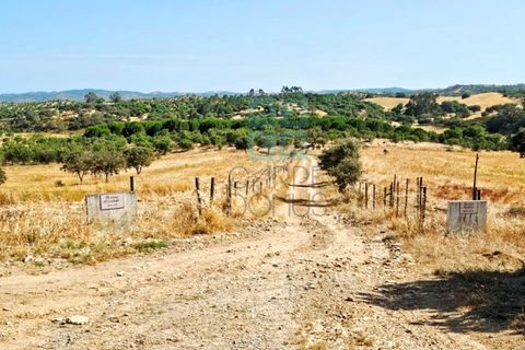 Landejendom i Santa Luzia, Beja, Santa Luzia - € 1.500.000 | Ref: Mt.Equestre - foto 18
