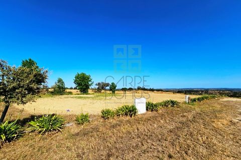 Landejendom i Santa Luzia, Beja, Santa Luzia - € 1.500.000 | Ref: Mt.Equestre - foto 20