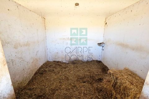 Landejendom i Santa Luzia, Beja, Santa Luzia - € 1.500.000 | Ref: Mt.Equestre - foto 25