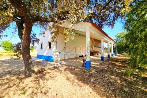 Landejendom i Santa Luzia, Beja, Santa Luzia - € 1.500.000 | Ref: Mt.Equestre - foto 27