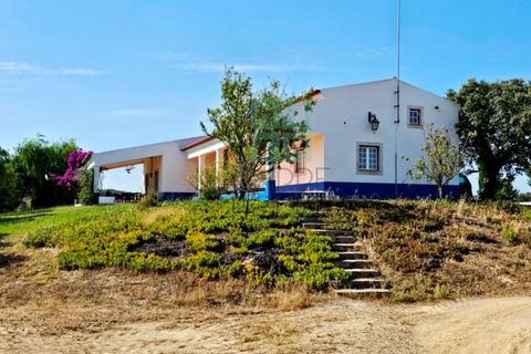 Landejendom i Santa Luzia, Beja, Santa Luzia - € 1.500.000 | Ref: Mt.Equestre - foto 28