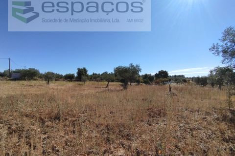 Tomt i Escalos de Cima e Lousa, Castelo Branco, Escalos de Cima e Lousa - € 33 000 | Ref: 4406/AC - foto 3