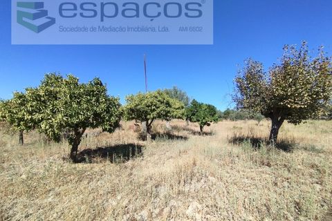 Tomt i Escalos de Cima e Lousa, Castelo Branco, Escalos de Cima e Lousa - € 33 000 | Ref: 4406/AC - foto 4