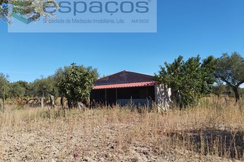 Tomt i Escalos de Cima e Lousa, Castelo Branco, Escalos de Cima e Lousa - € 33 000 | Ref: 4406/AC - foto 5